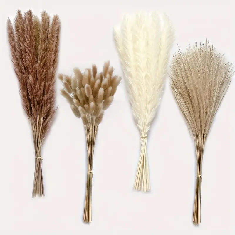 Natural Dried Pampas Grass Set