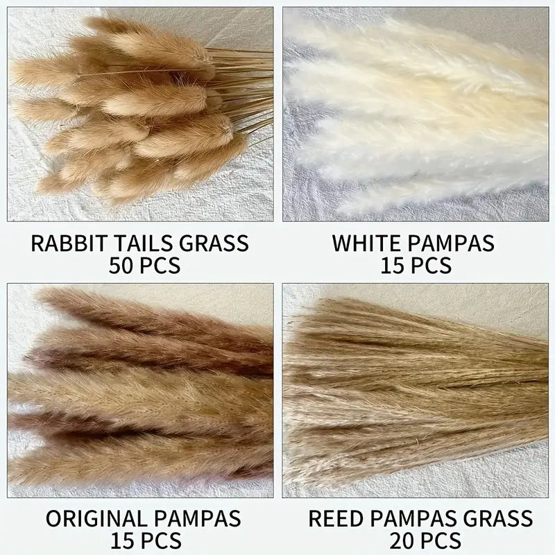 Natural Dried Pampas Grass Set