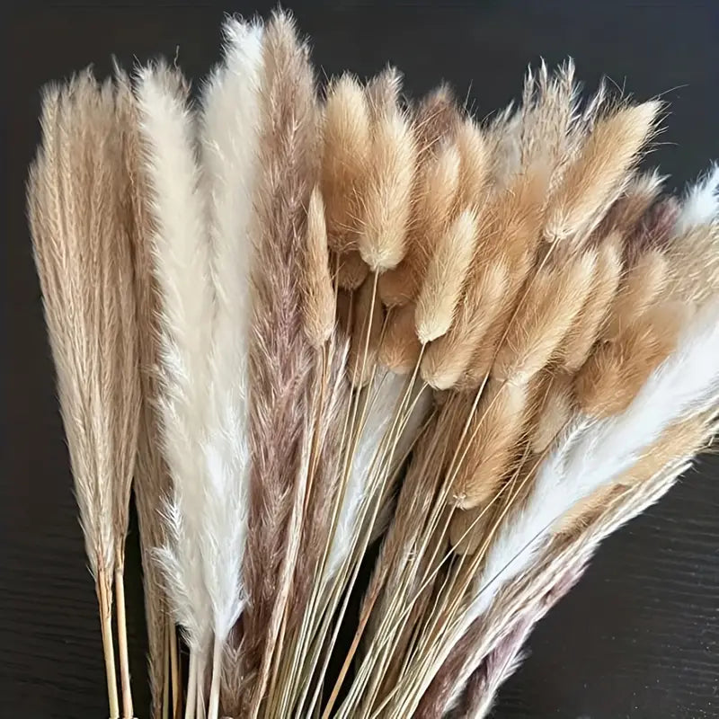 Natural Dried Pampas Grass Set